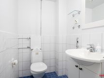 erillinen WC