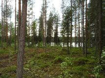 Ylöjärvi, Kuru, Heinuu ja Poikelisjärvi