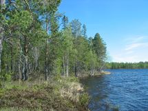 Kuhmo, Iivantiira, Saarensalmentie 