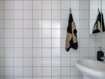 Erillinen wc