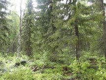 Pello, Miekojärvi, Karhumaan ranta-asemakaava