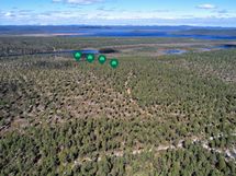 Neljä omakotitalotonttia Konesvaaran rinteessä