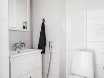 Erillinen wc
