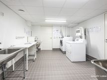 Taloyhtiön pesutupa.