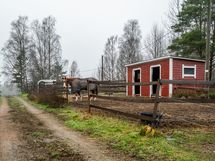 siirtotalli ja hevostarha