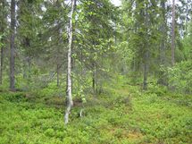 Pello, Miekojärvi, Karhumaan ranta-asemakaava