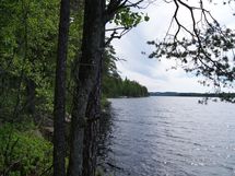 Sonkajärvi, Luomanen