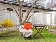 Aurinkoisella pihalle viihtyy moni, puun varjossa voit myös istua.