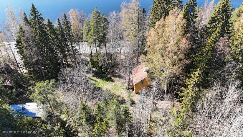 Asuntoilmoituksen kuva