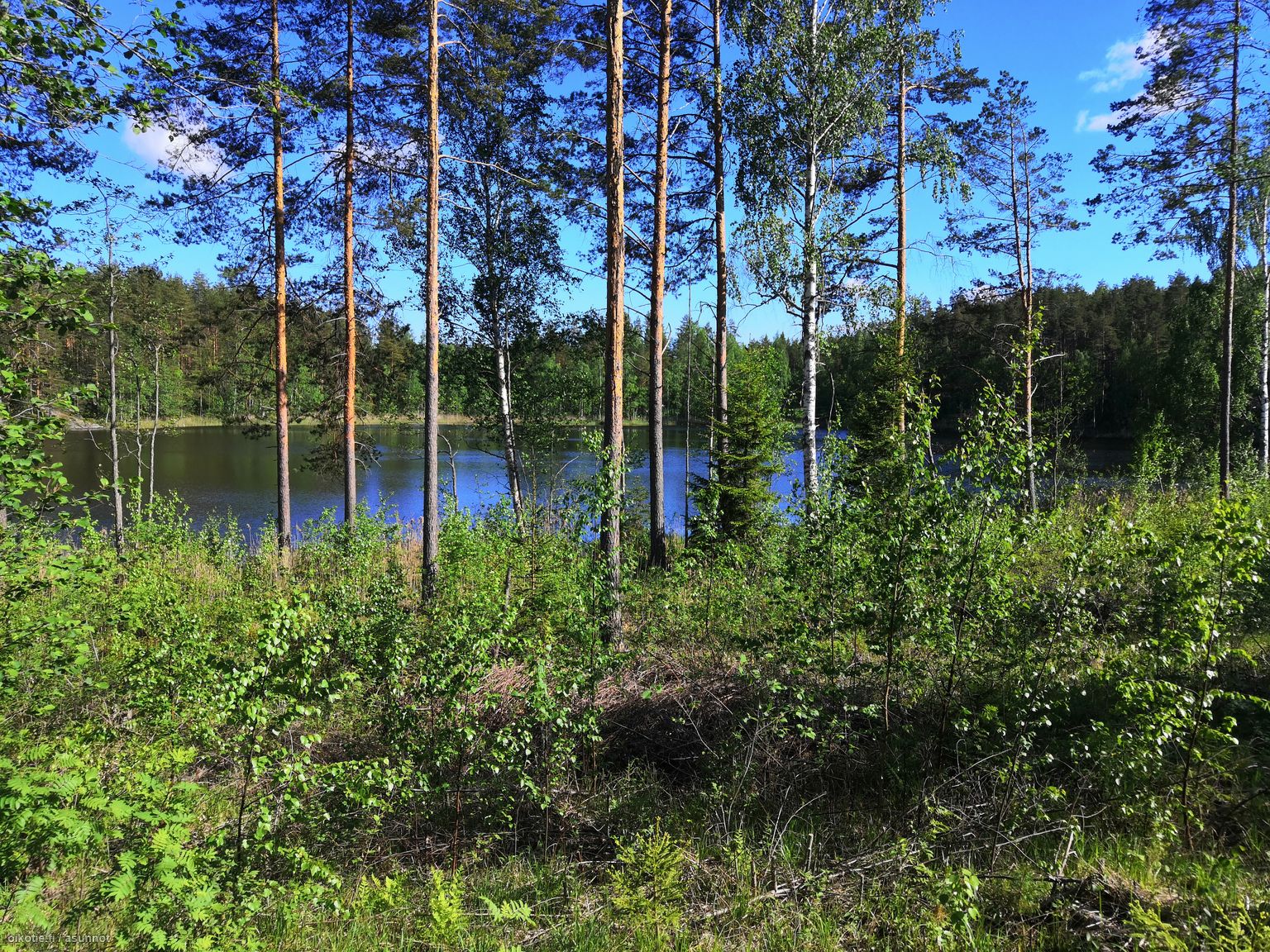 4,14 ha Lamminniemi, Kaislanen, 51980 Juva Vapaa-ajan tontti myynnissä -  Oikotie 16071932