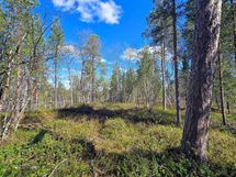 Mahdollista mökin paikkaa