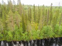 Rautavaara, Ahveninen, Puutisenlahti