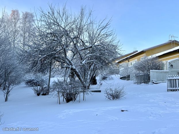 Asuntoilmoituksen kuva