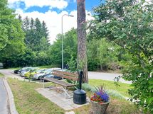 Talon piha on vehreä ja kivoja paikkoja nauttia vehreydestä on pihassa useampia.