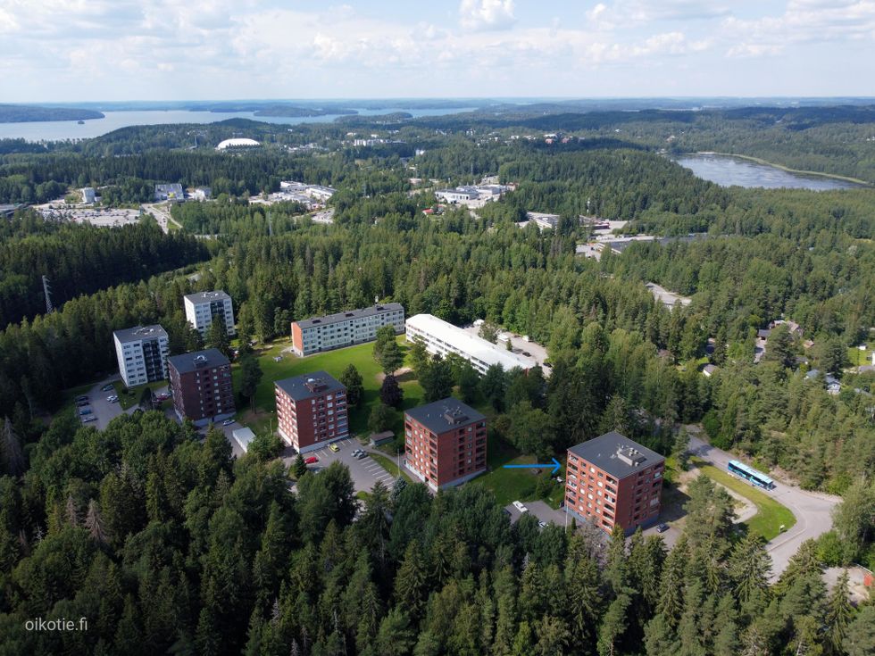 Kohdekuva