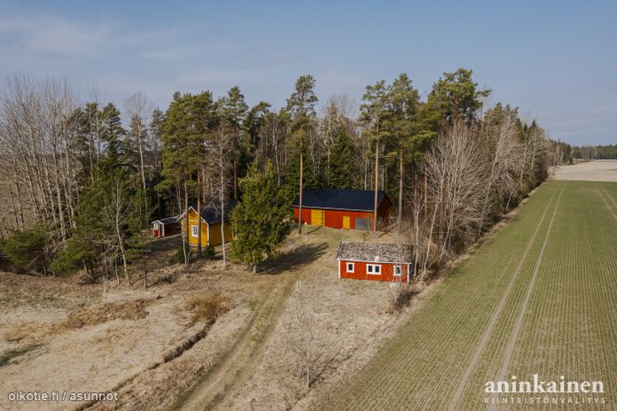 Asuntoilmoituksen kuva