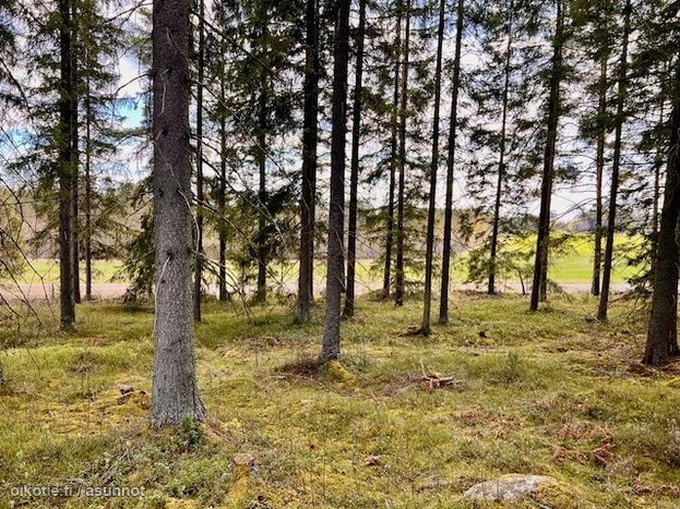 Asuntoilmoituksen kuva