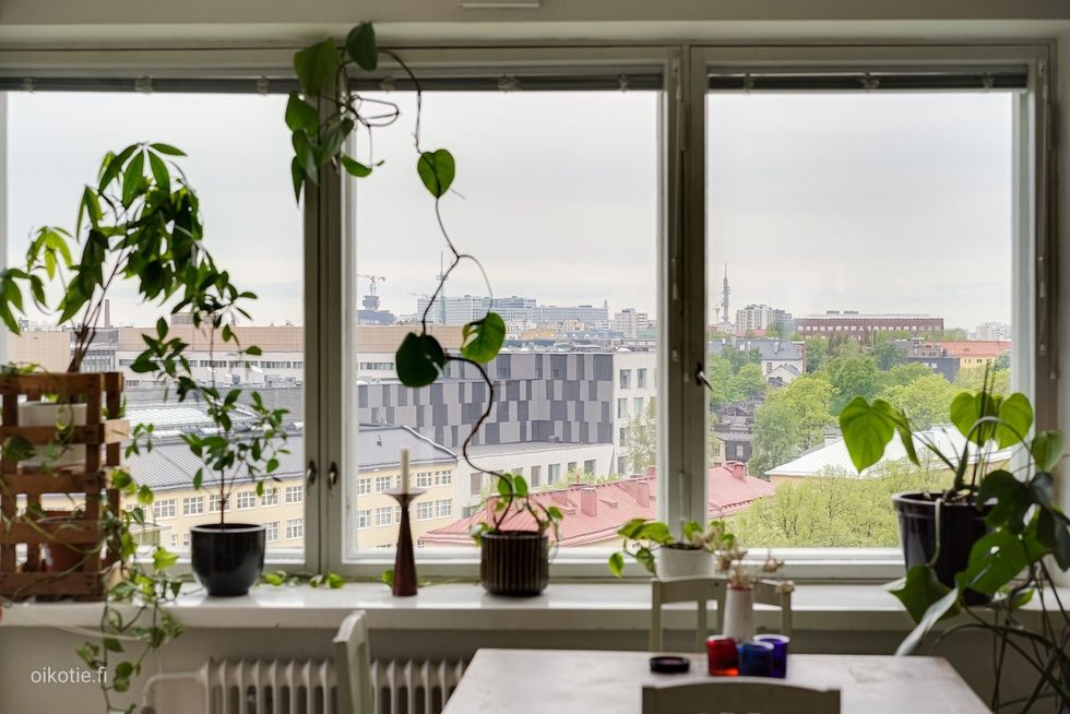 Olohuoneen ikkunalaudalla viherkasvit viihtyvät