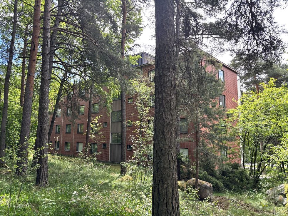 Kohdekuva