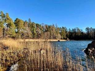 Kohdekuva