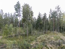 Näkymä parvekkeelta