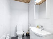 Erillinen wc