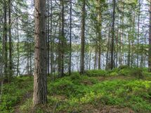 Varkaus, Miehalanjärvi, Sopalanniementie