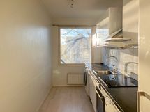 Keittiön varusteet sijoitettu yhdelle seinälle.