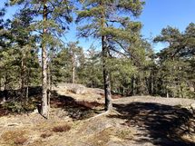 Läheinen kallio