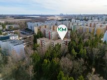 Lintuperspektiivi