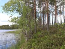 Saarijärvi, Isojärvi