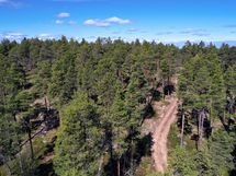 Ylös kohti rinnettä, tontit (1-4) vasemmalla puolella tietä.