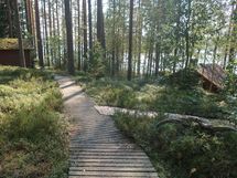 Polku rantaan mökiltä