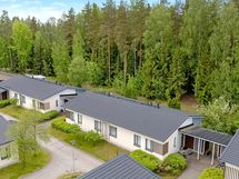 Metsänäkymät kodista.