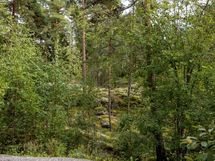 Salo, Särkisalo, Karhumäki