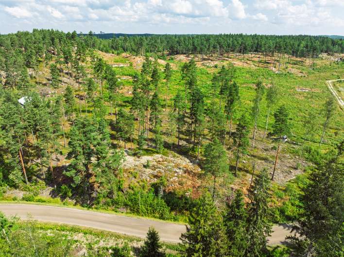Tontti, 9 200 m², Mossaböle - Näkymä 2