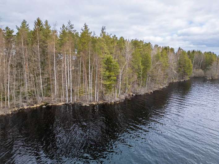 Tontti, 6 289 m², Kolho, Mänttä-Vilppula