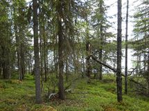 Rovaniemi-Karjalanjärvi