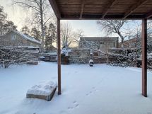 Terassi ja piha-alue ovat luonaan puolella.