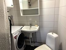 Pikkutalon pesuhuone/wc