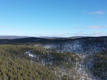 Tila lentokentän suunnasta