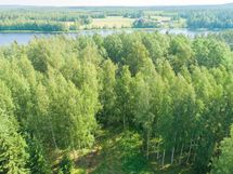 Hankasalmi Hiidenjärvi