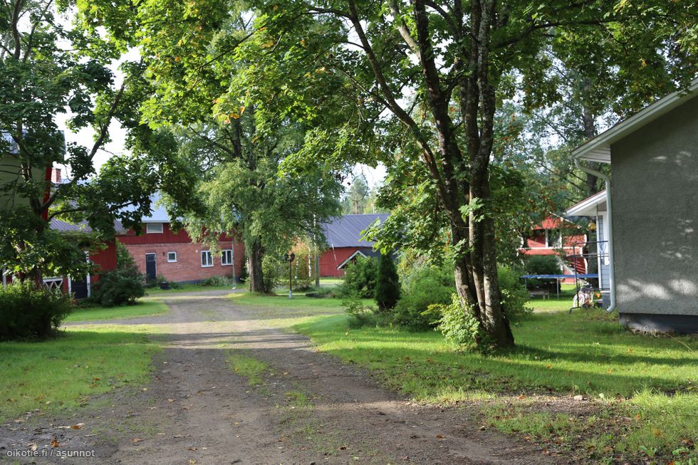 210 M Korventaustantie 105 Hauho Suomi 14700 Hameenlinna Maatila 6h Myynnissa Oikotie 13815404