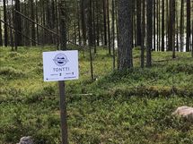 Suomussalmi, Kaunisniemi-Merkkivirta, Tontin takaosaa