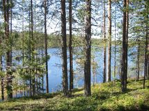 Suomussalmi, Kaunisniemi-Merkkivirta