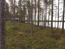 Saarijärvi, Isojärvi