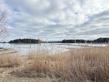 Meren äärelle ulkoilemaan kävelee alle 10 minuutissa.