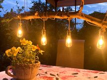 Myyjän omia kuvia pihalta eri vuoden aikoina