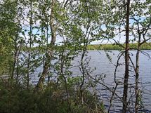 Saarijärvi, Iso-Renkanen