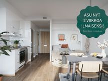 Kuva on digistailattu
